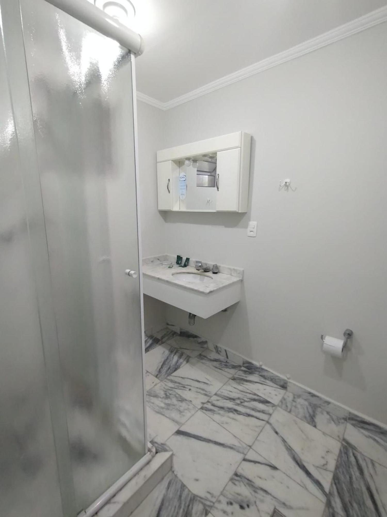 Delphin Pe Na Areia Guaruja