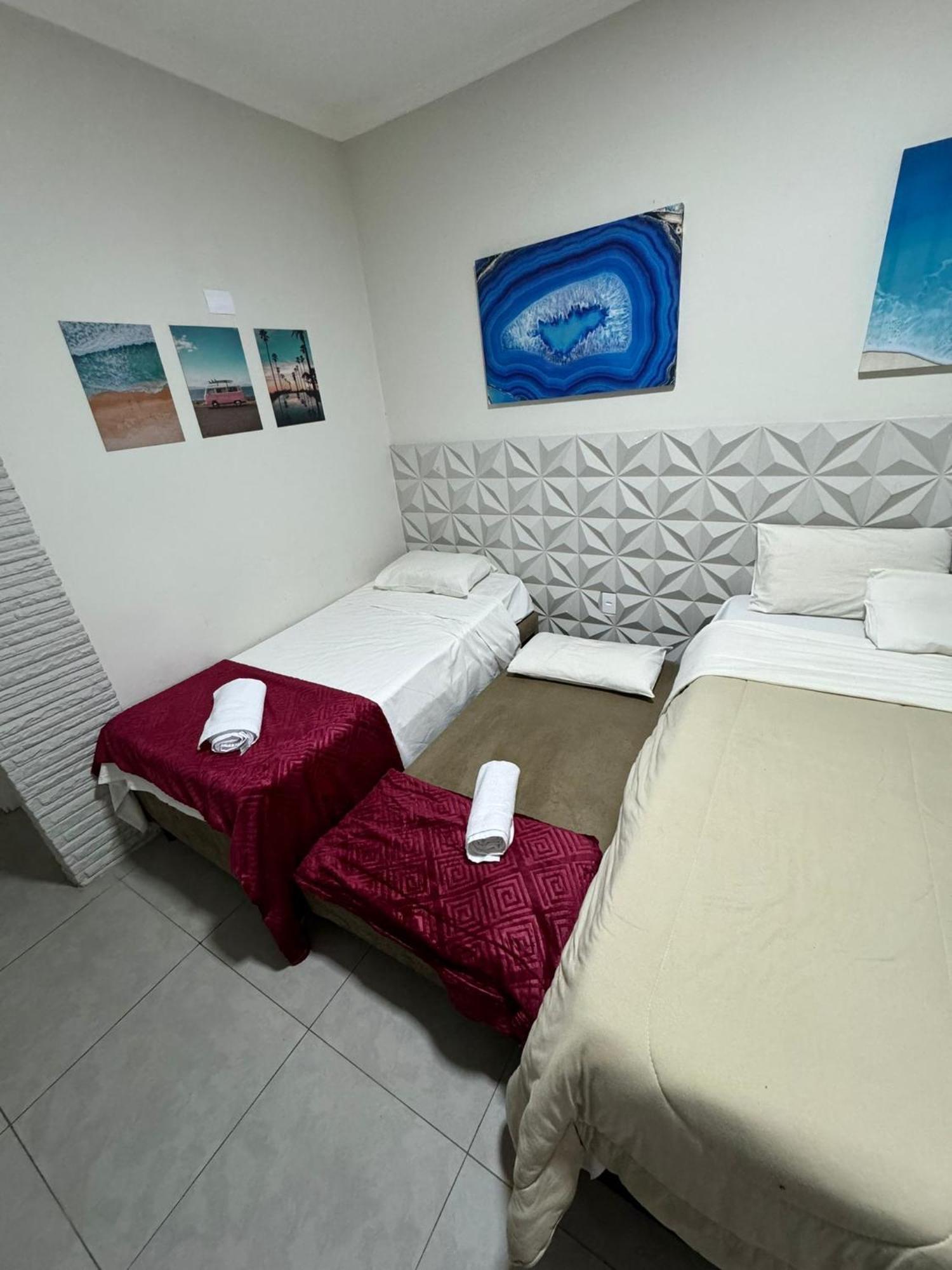 Delphin Pe Na Areia