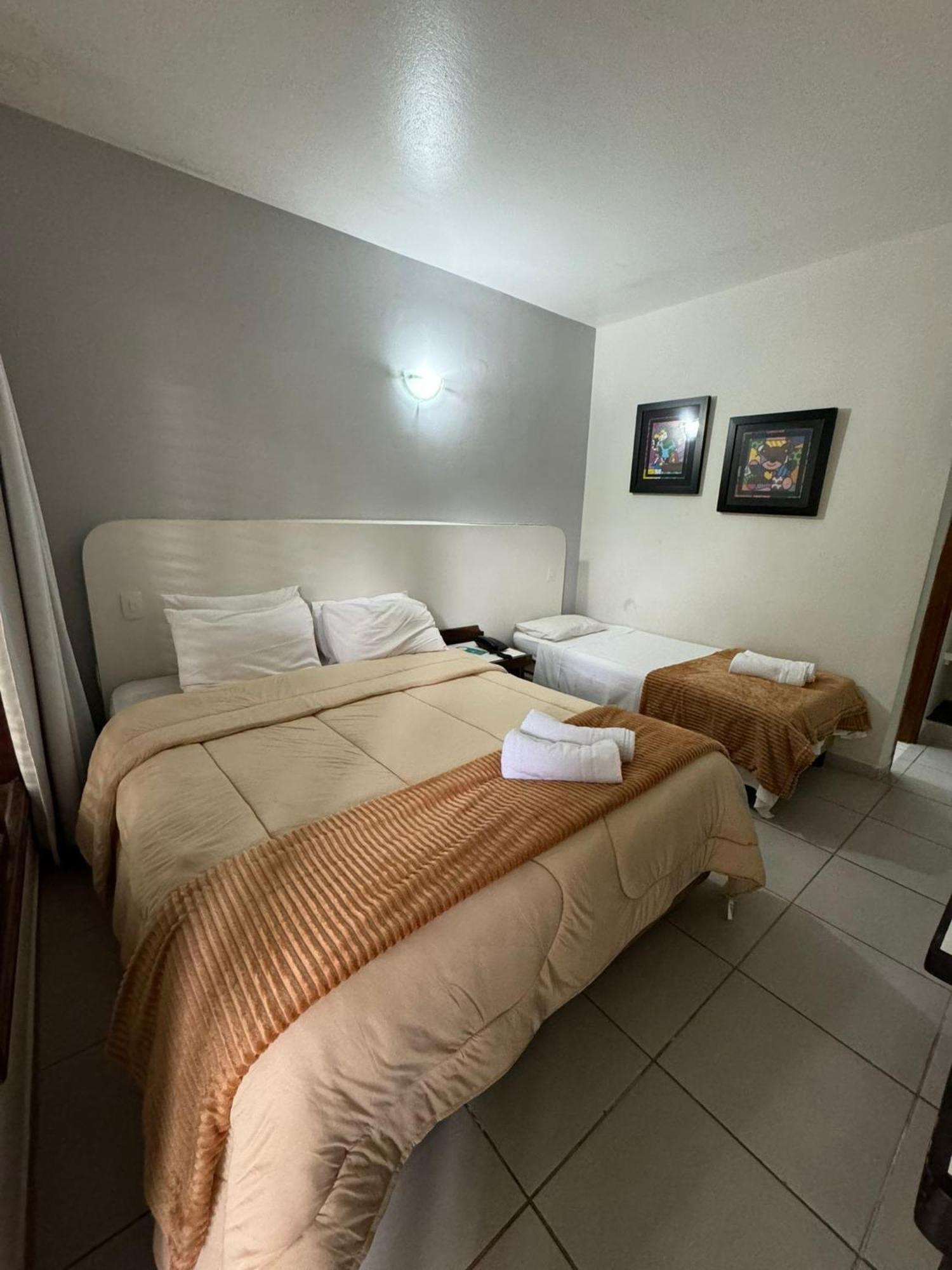 Delphin Pe Na Areia Guaruja