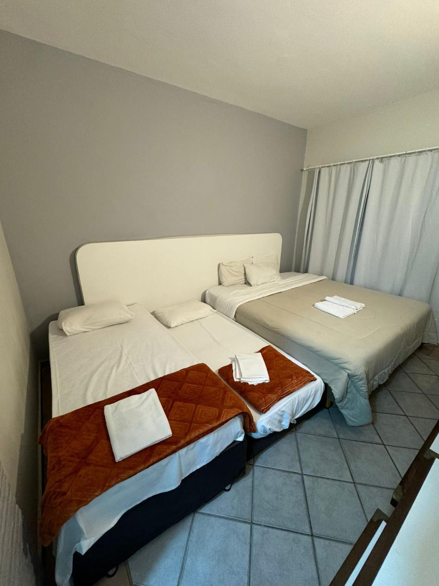 Delphin Pe Na Areia